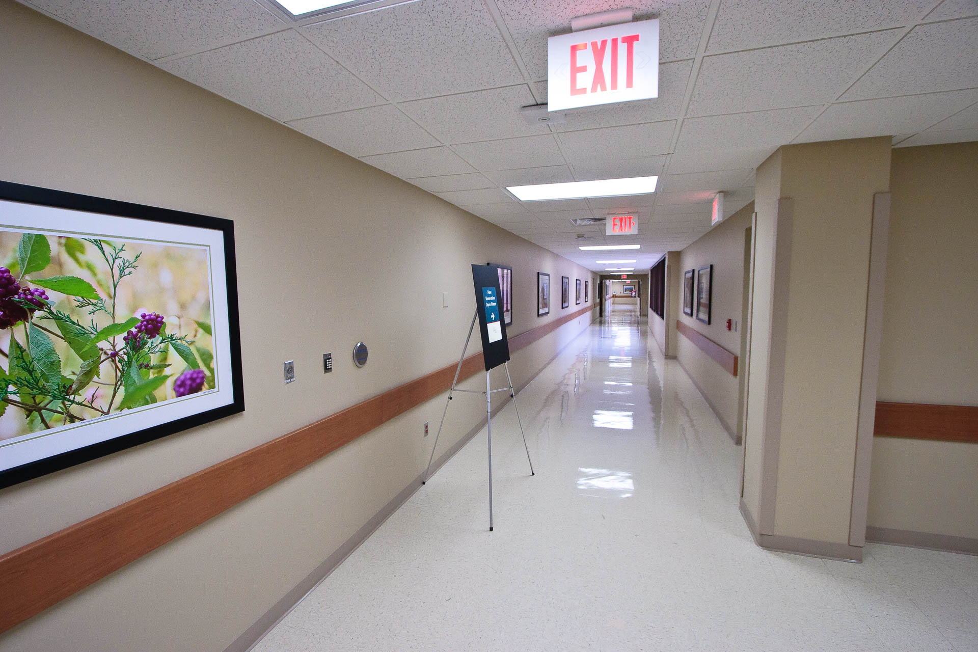 St Vincents ICU Corridor