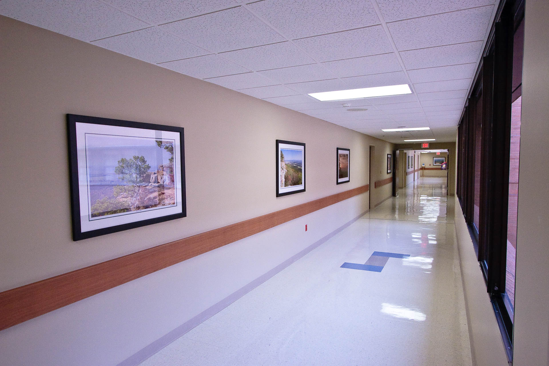 St Vincents ICU Corridor