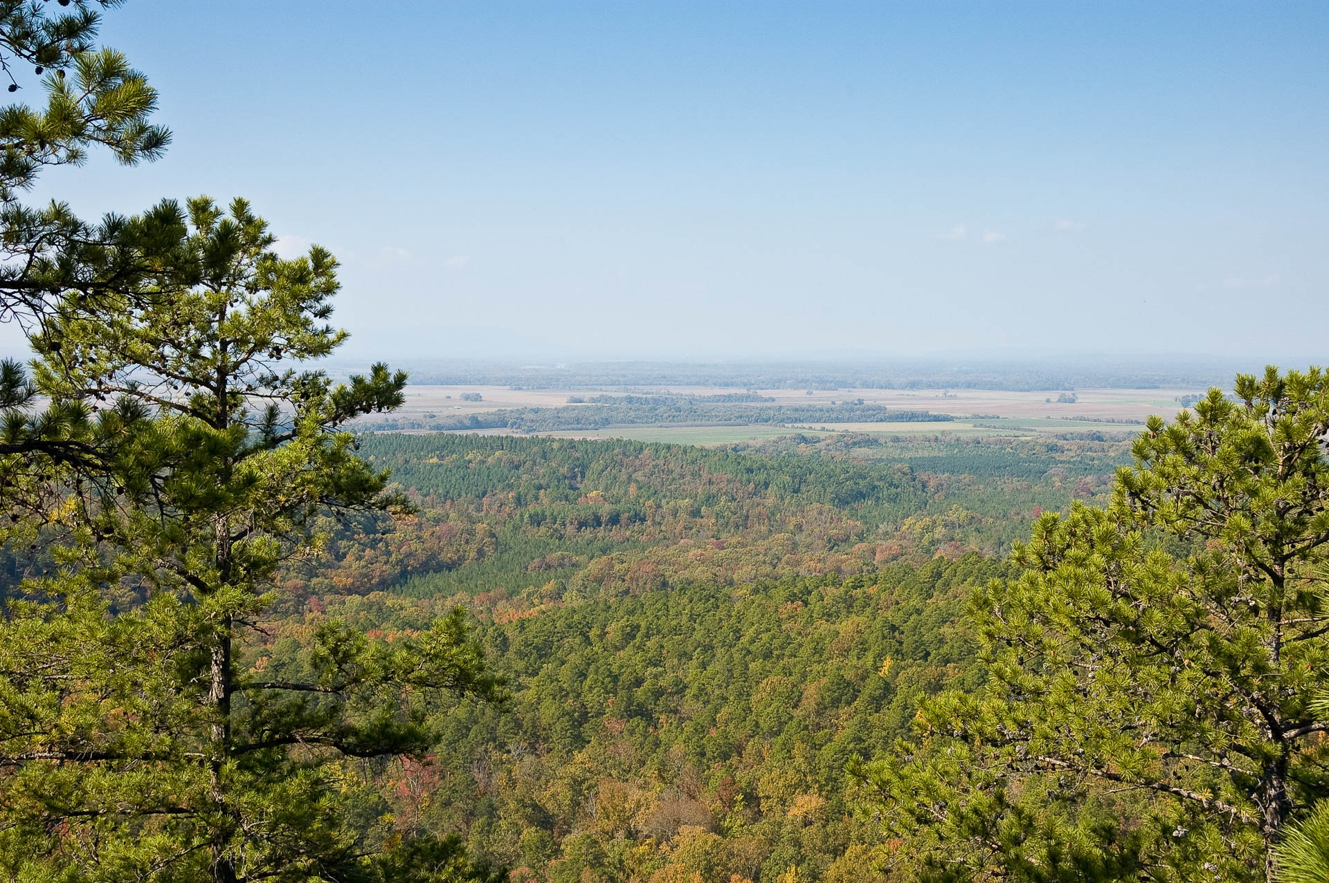 Green Overlook