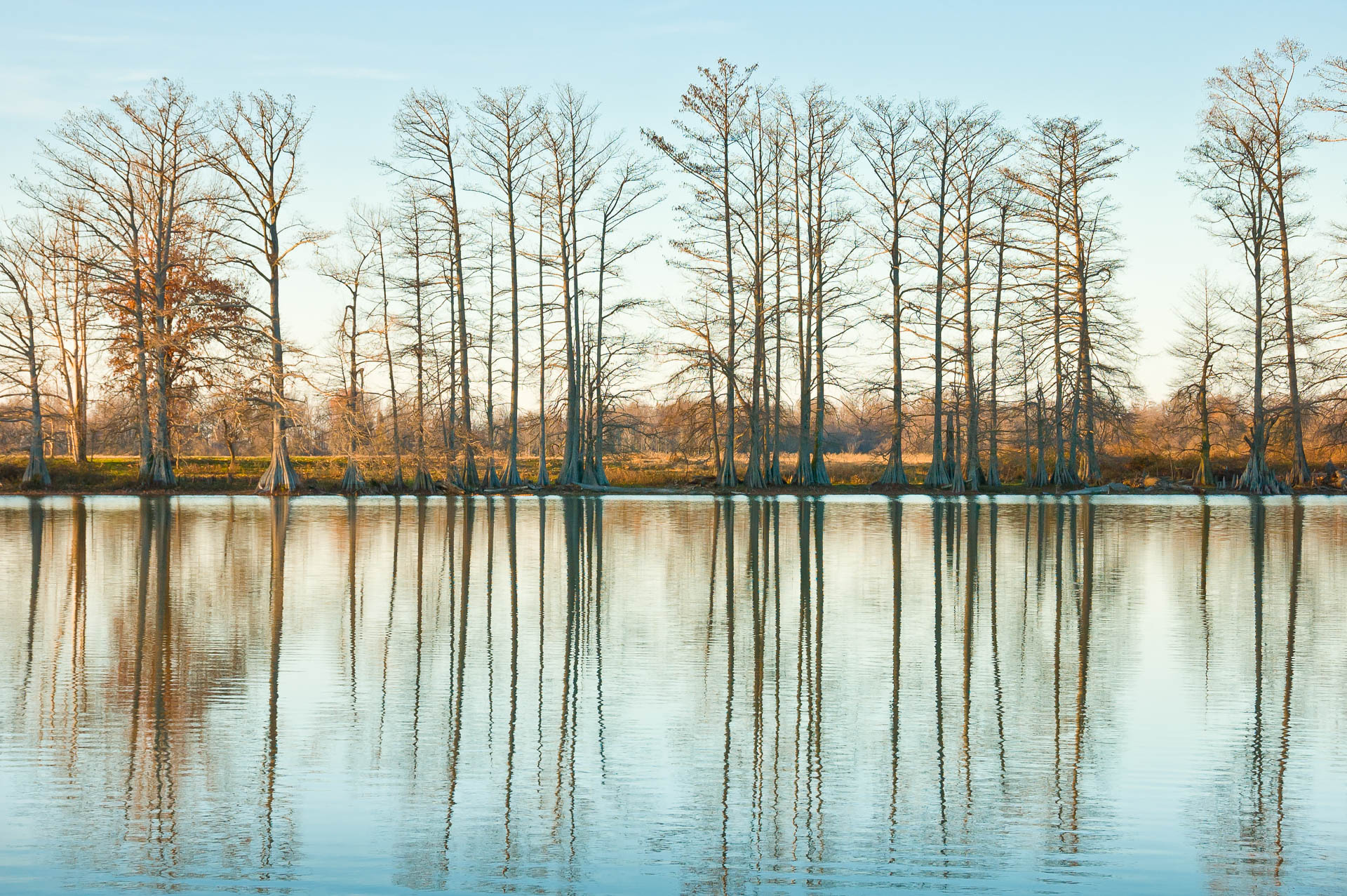 Bearskin Lake, Scott, Arkansas