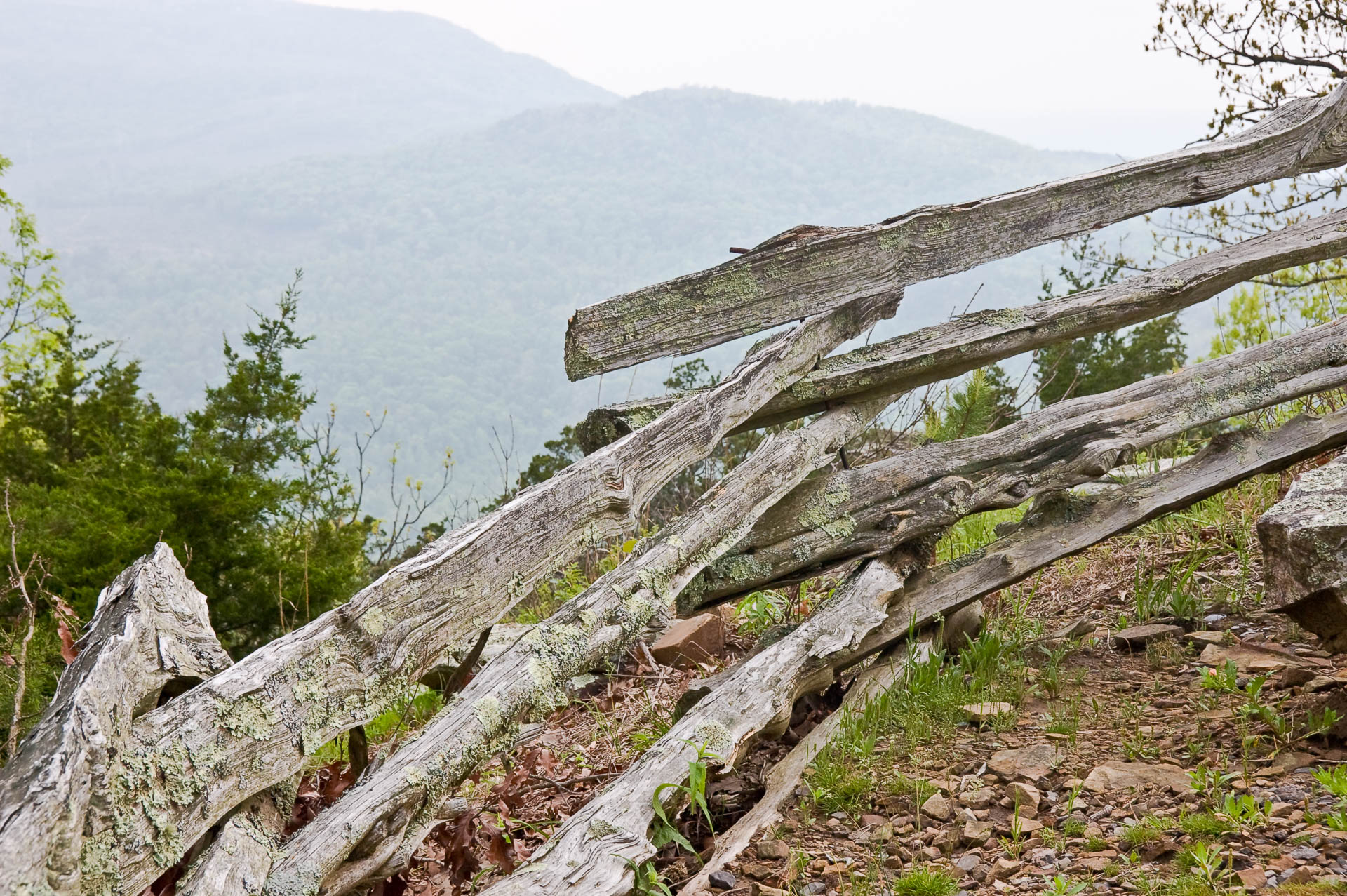 Rail Fence