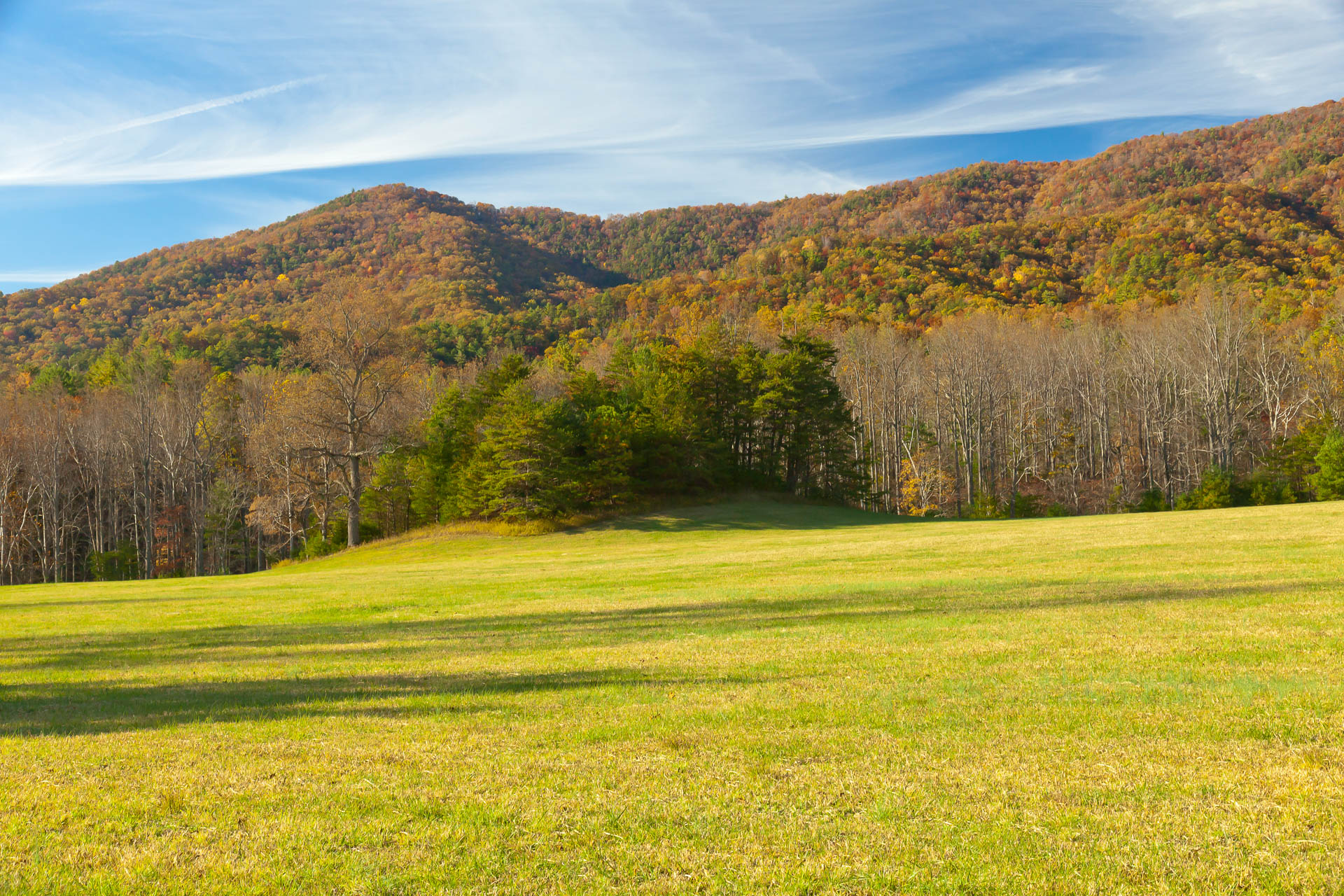 Roaring Mountain, Tennessee