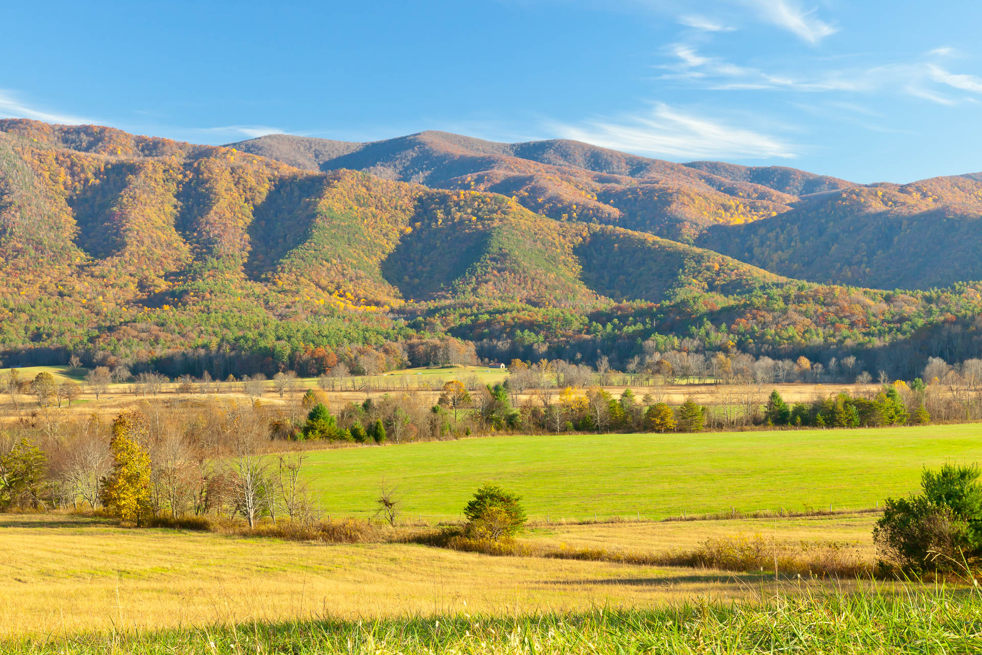 Cades Cove