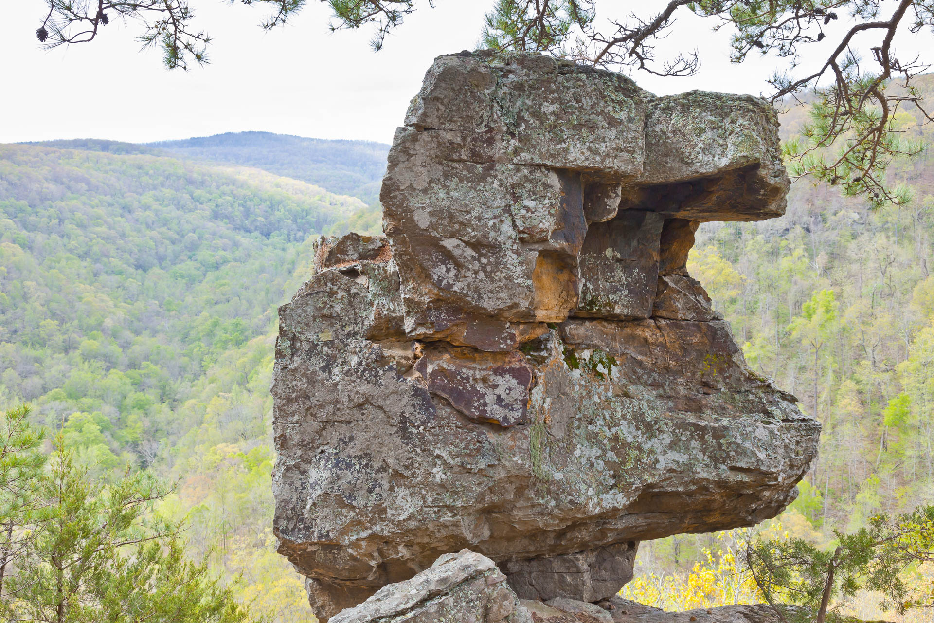 Ozark National Forest, Arkansas