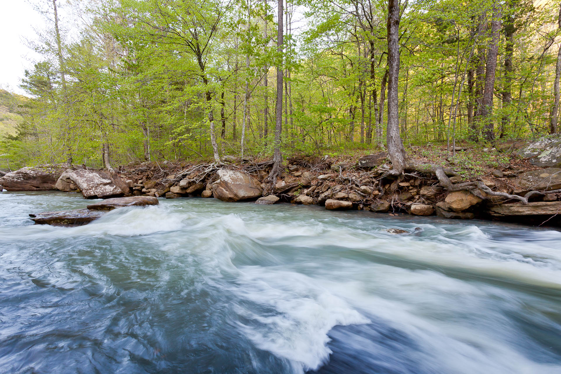 Ozark National Forest, Arkansas