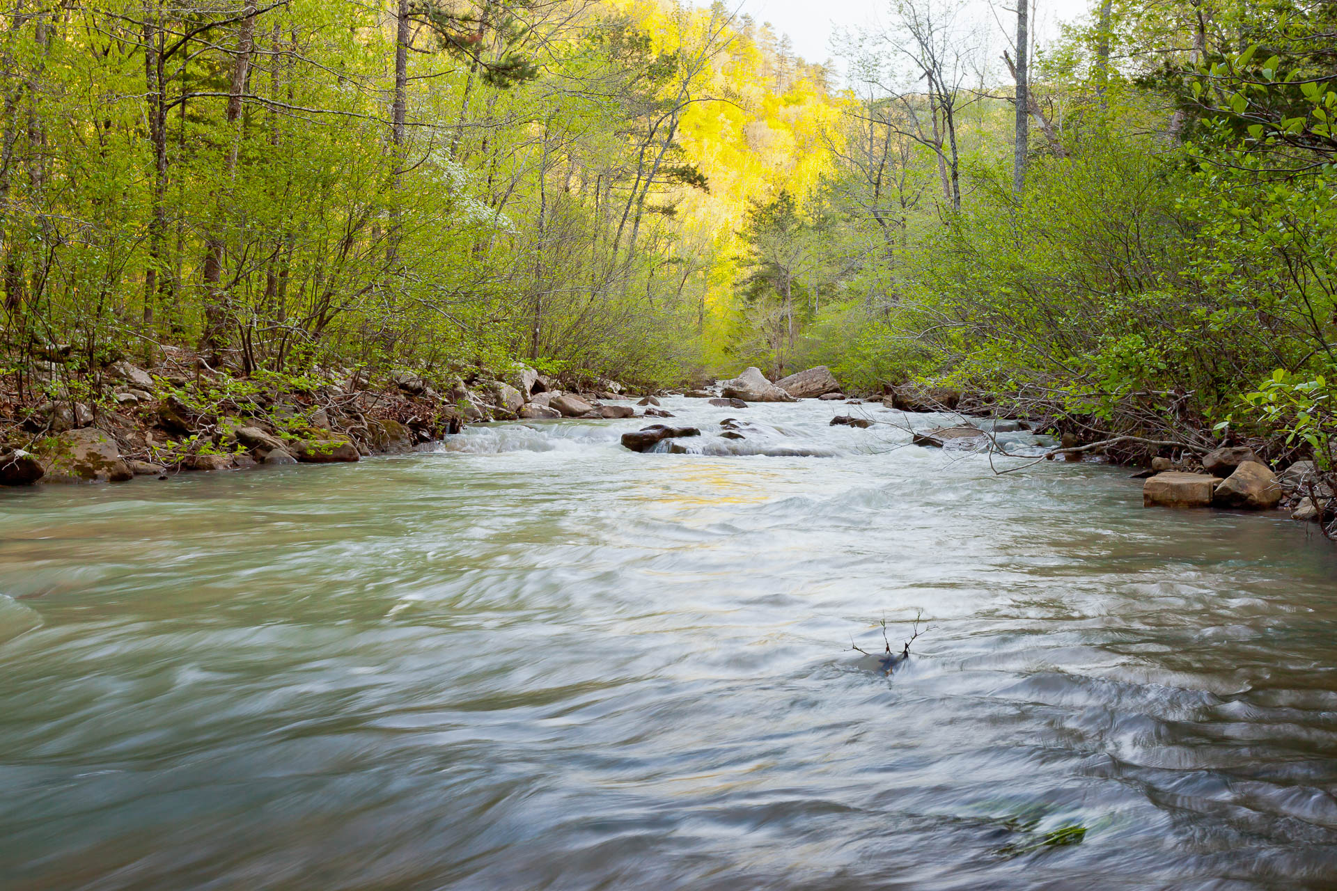 Ozark National Forest, Arkansas