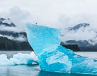 Tracy Arm Alaska