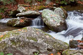 Roaring Mountain, Tennessee