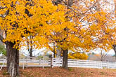 New Hampshire