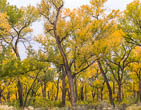 near Abiquiu, NM