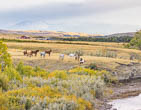 Blackfoot Indian Nation, Montana