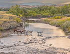 Blackfoot Indian Nation, Montana