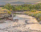 Blackfoot Indian Nation, Montana