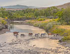 Blackfoot Indian Nation, Montana