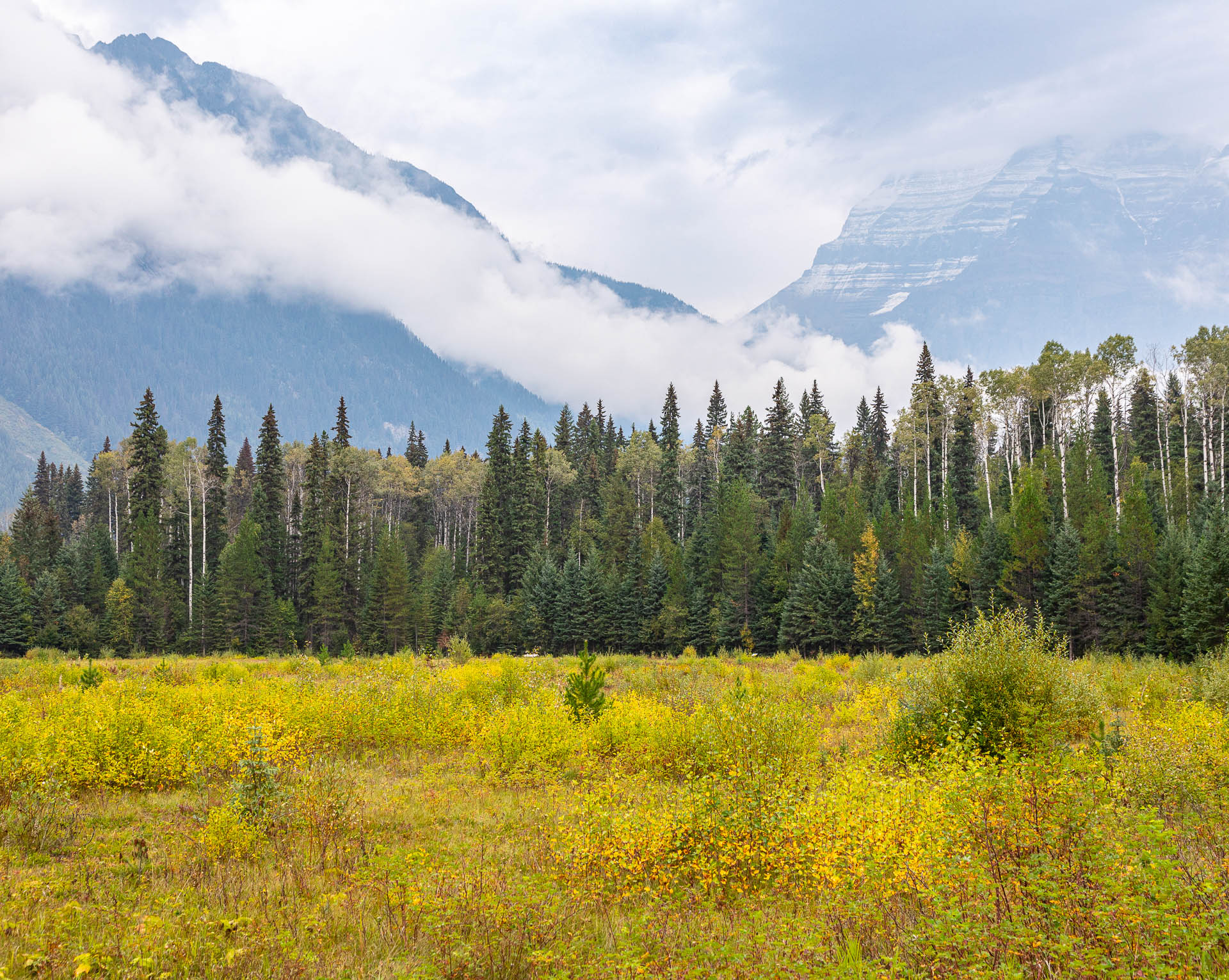 Mount Robson Provencial Park, British Columbia, Canada