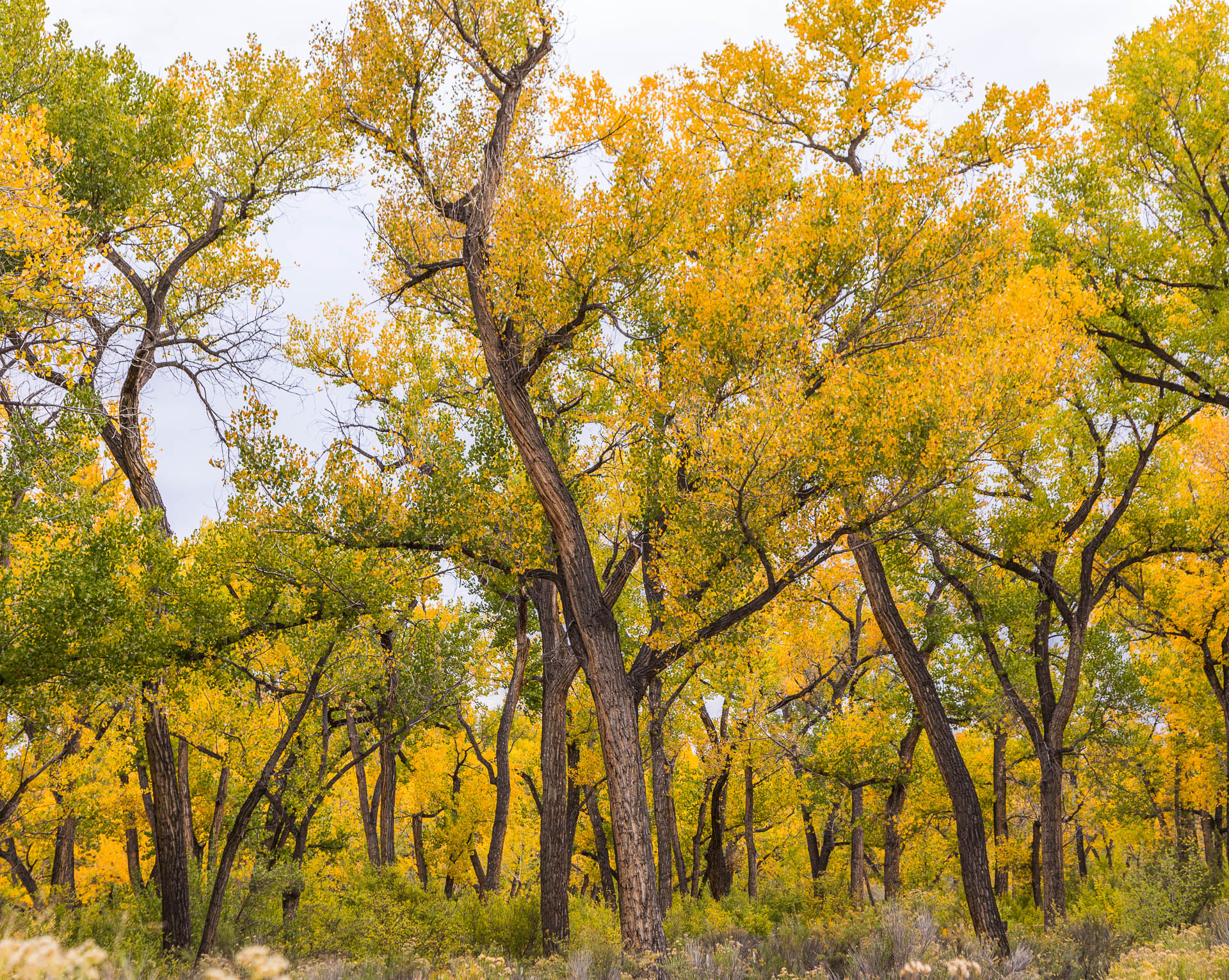 enroute to Abiquiu, NM