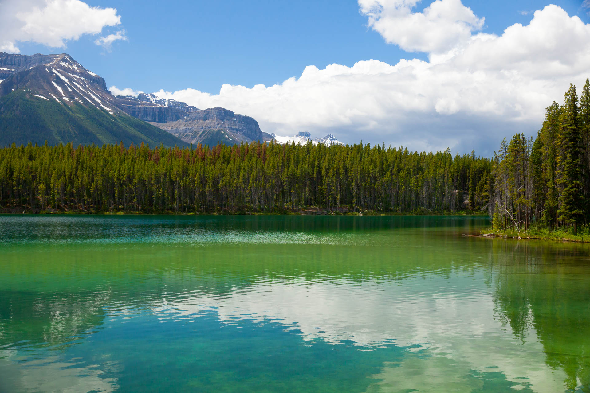 South Icefields Parkway, Alberta Canada