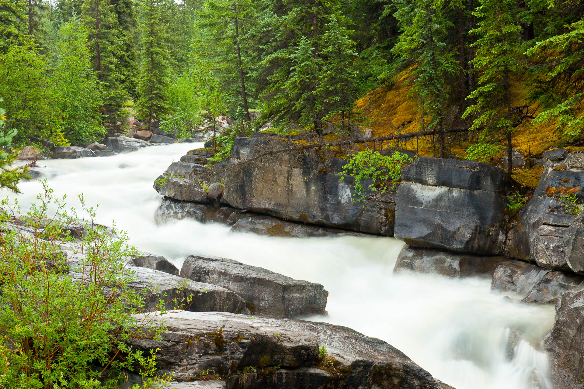 Jasper, Alberta, Canada