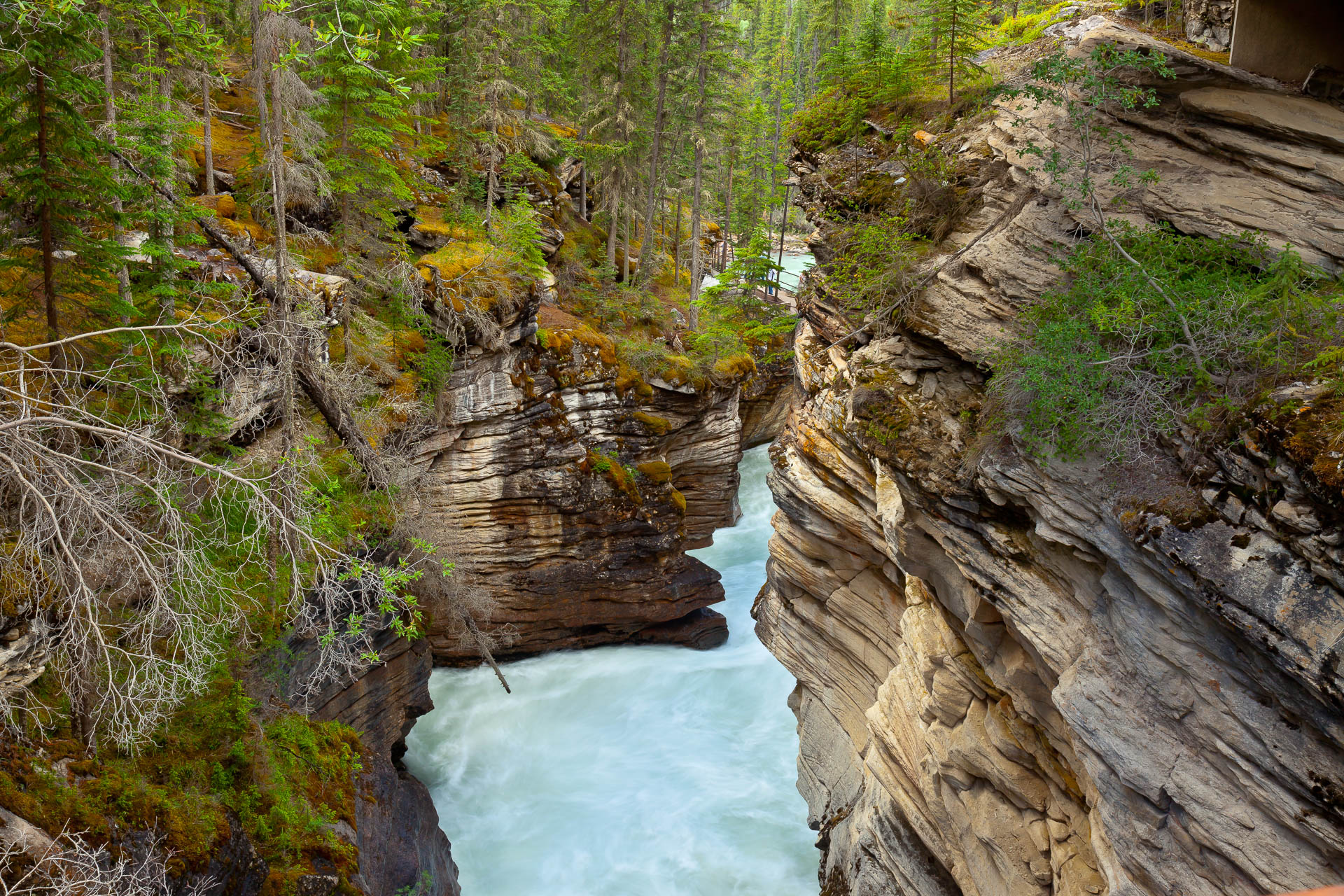 Upper Icefields Parkway, Alberta, Canada