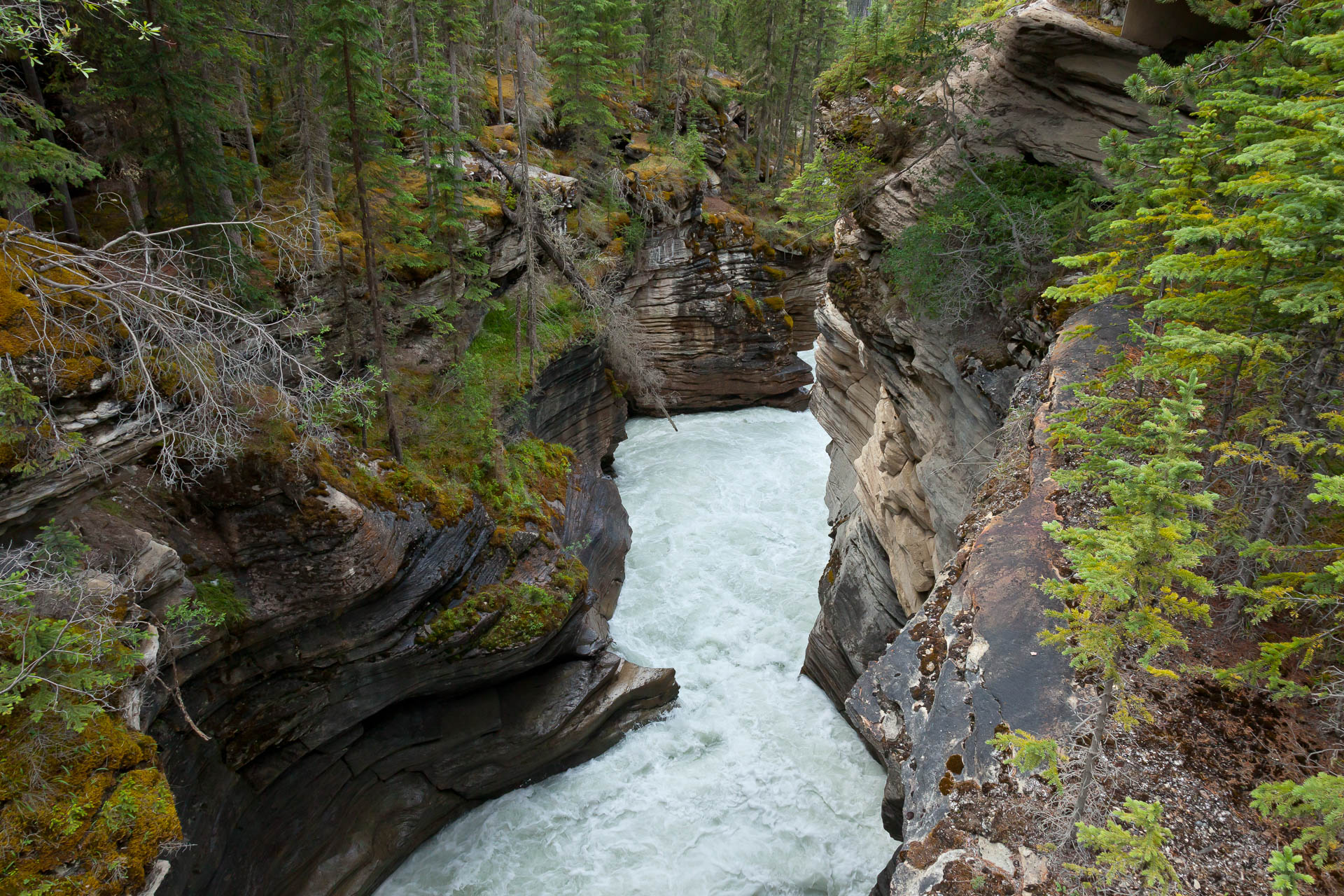 Icefields Parkway, Alberta, Canada