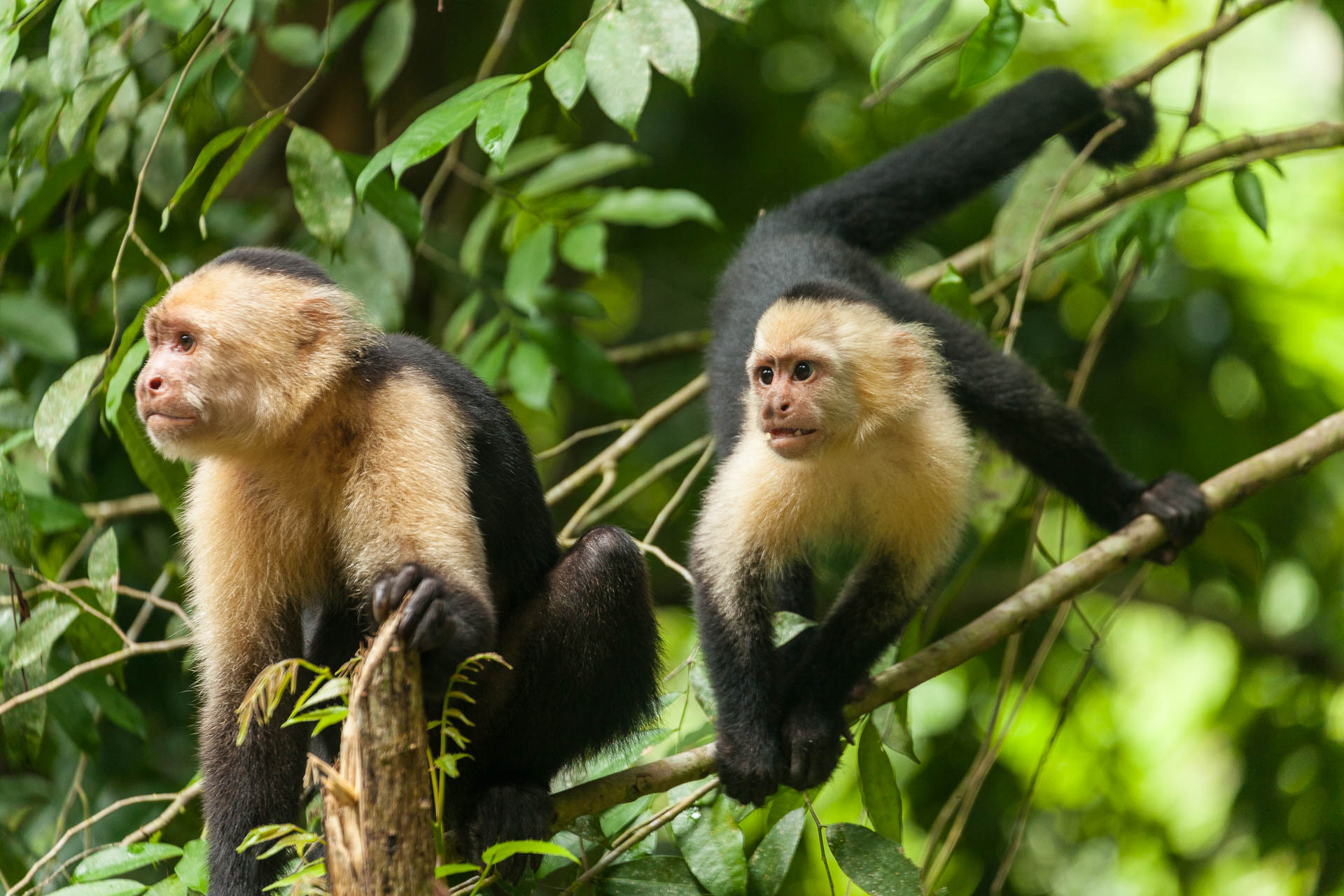 Costa Rica