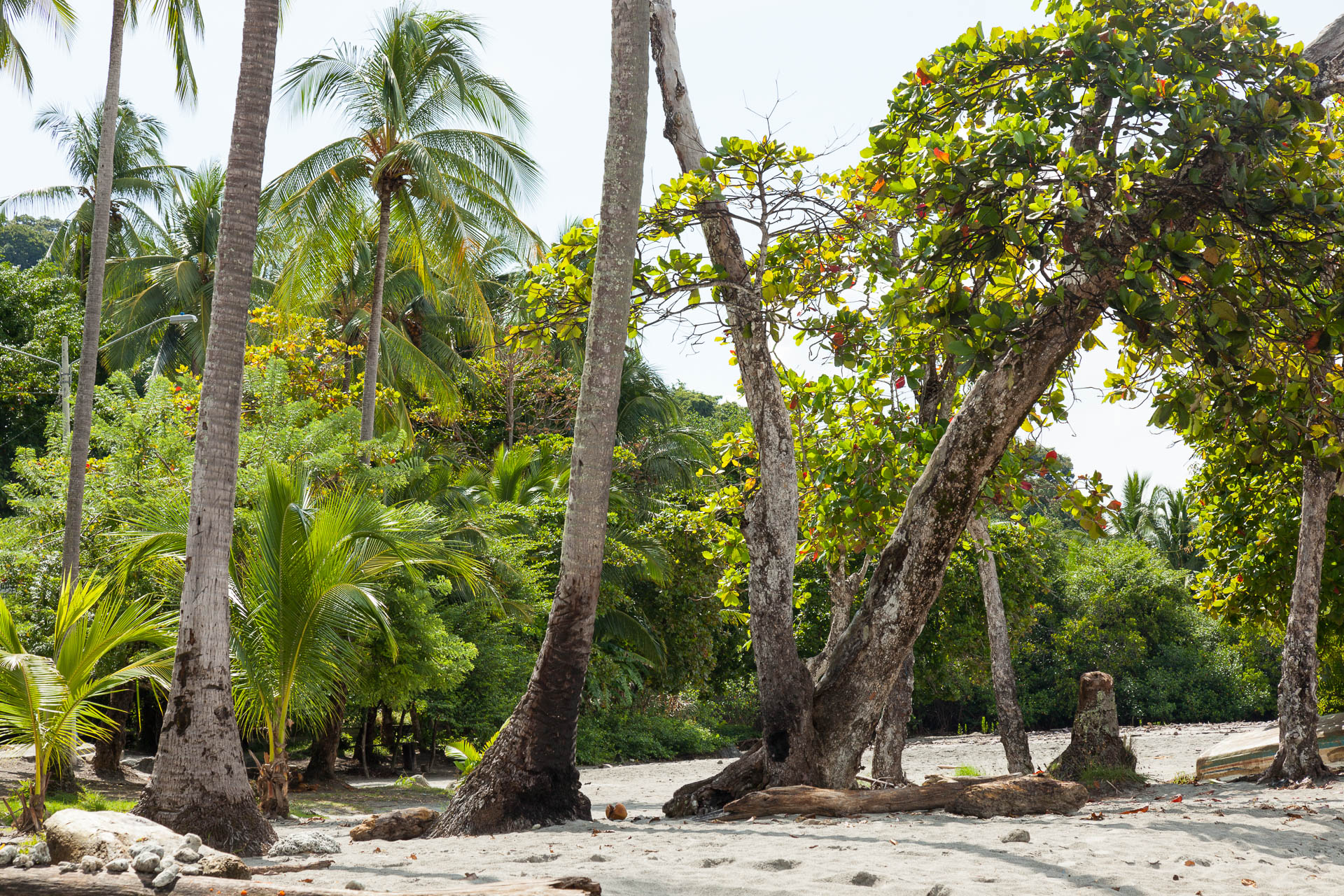 Public Beach, Manuel Antonio