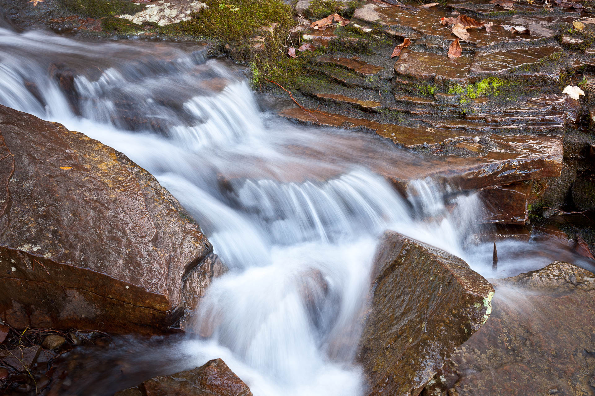 Mt. Nebo State Park, Arkansas