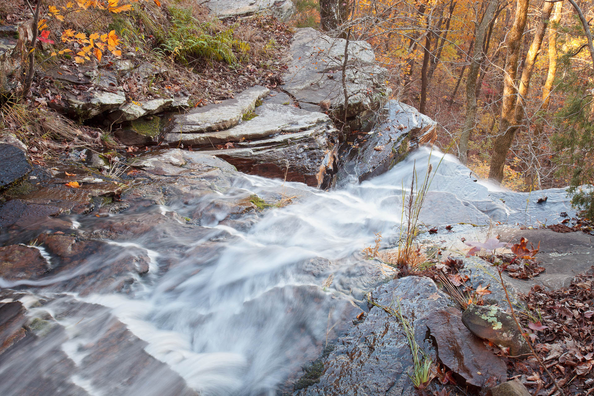 Mt Nebo State Park, Arkansas