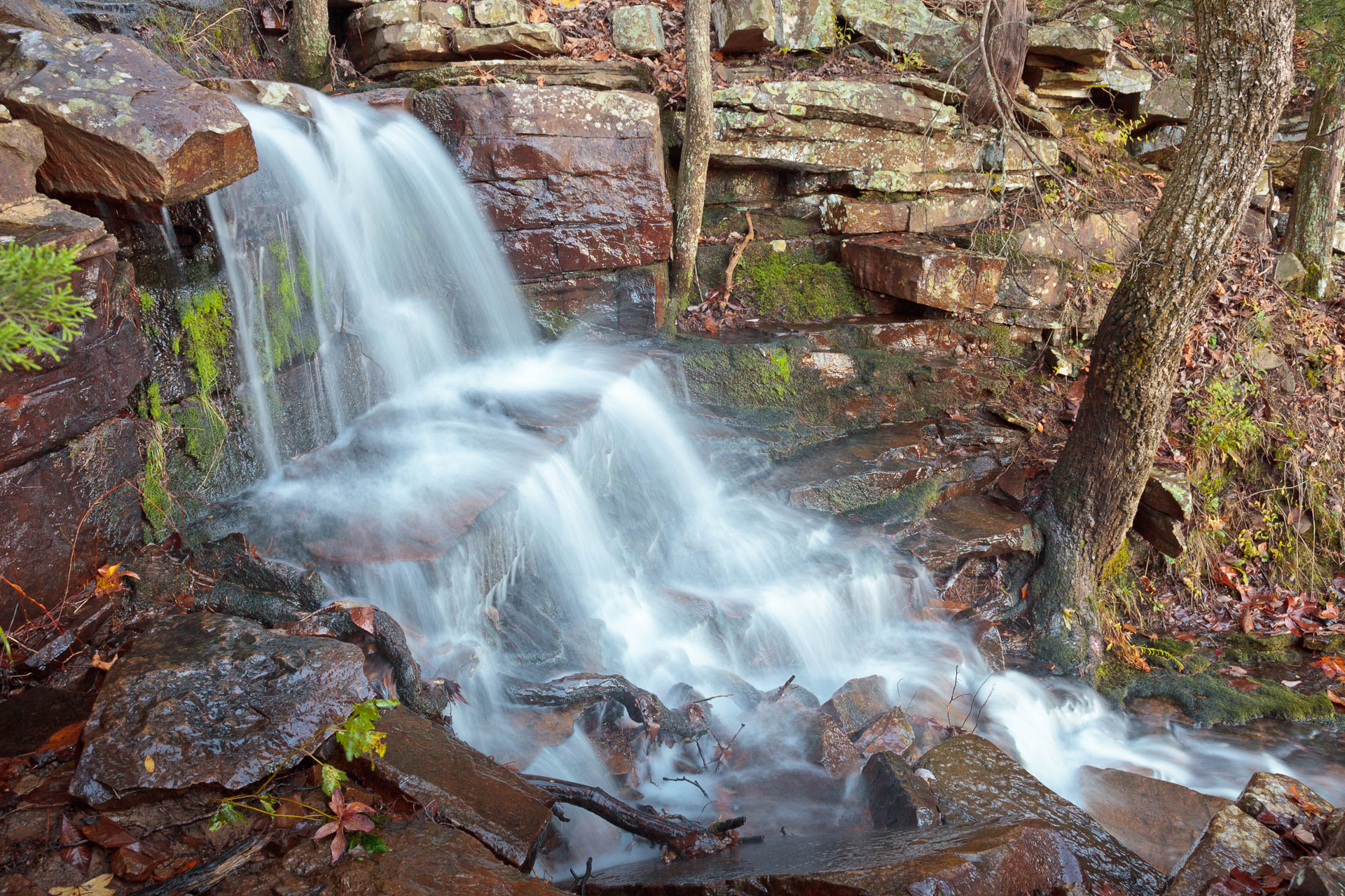 Mt. Nebo State Park, Arkansas