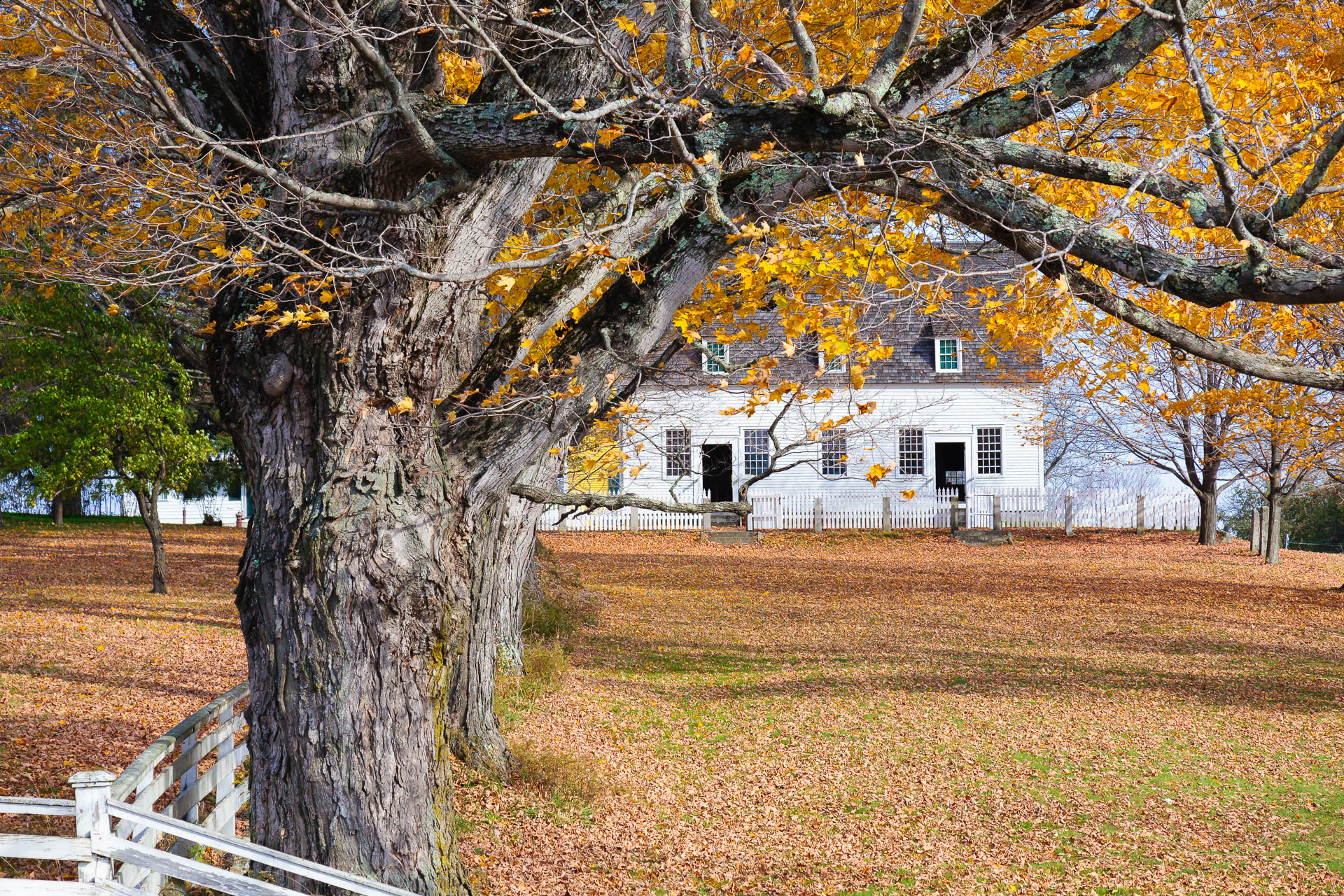 New Hampshire