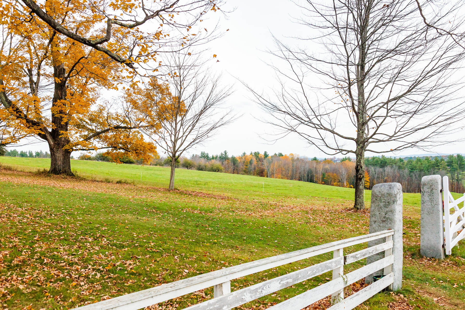 New Hampshire