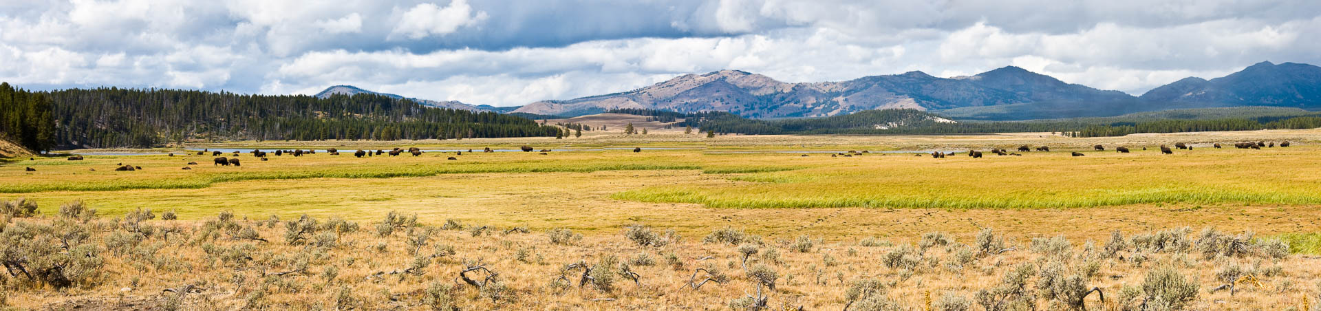 Yellowstone National Park, Wyoming