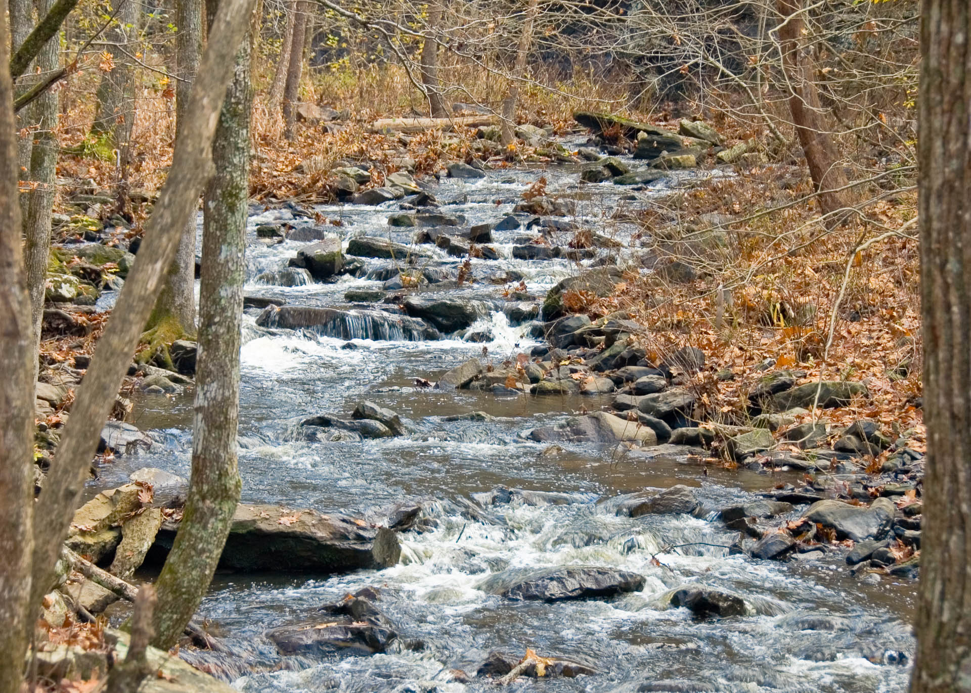 Petit Jean