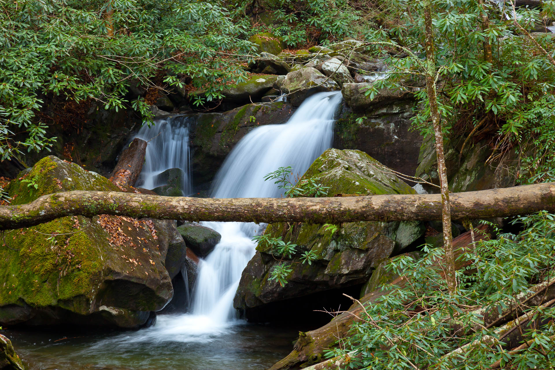 Roaring Mountain