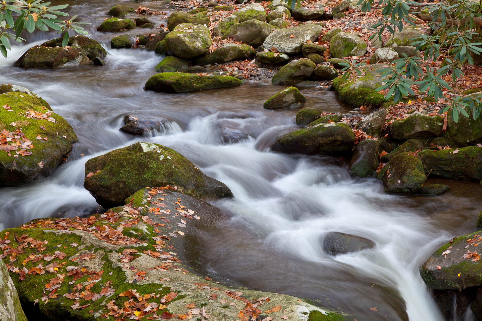 Roaring Mountain