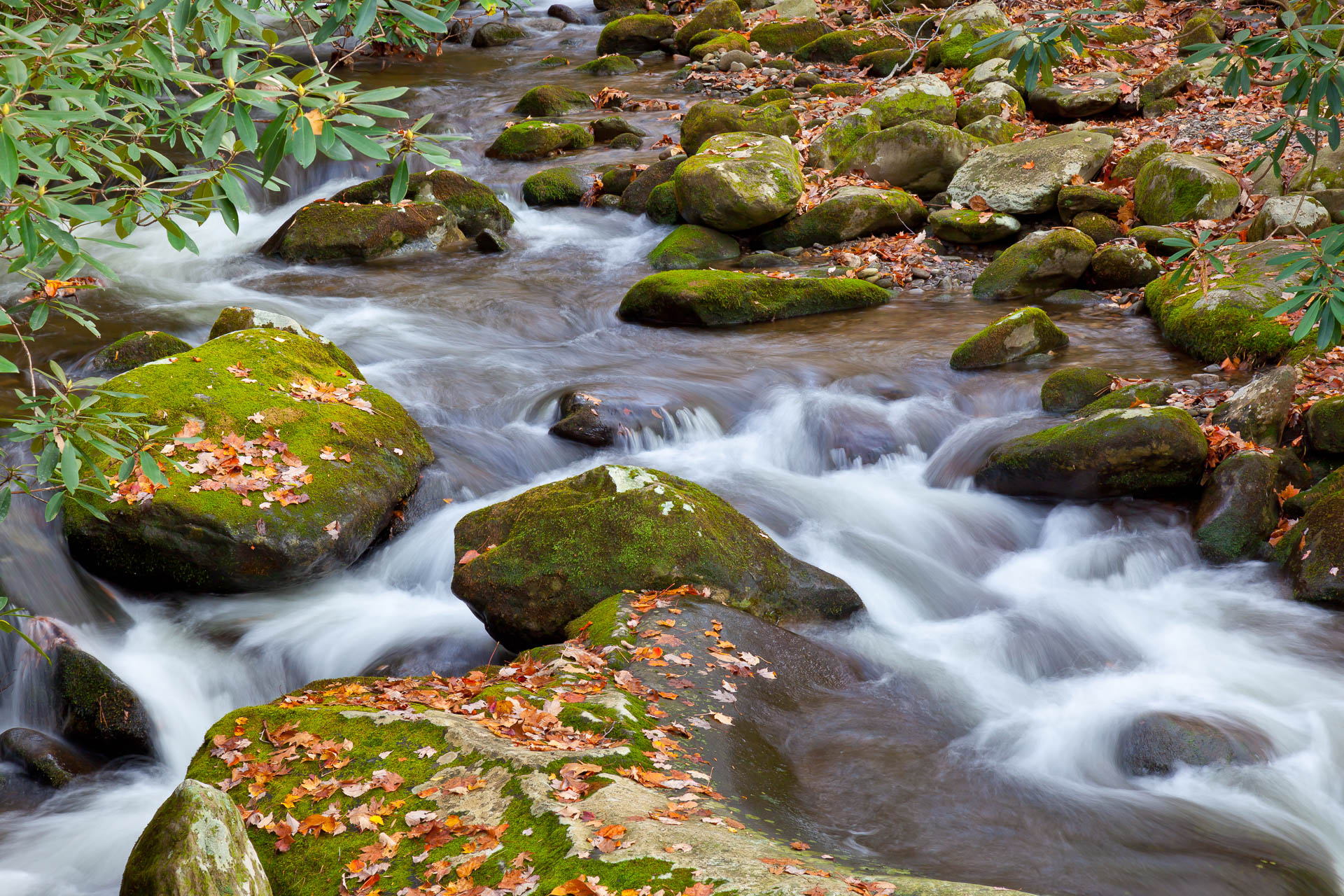 Roaring Mountain, Tennessee