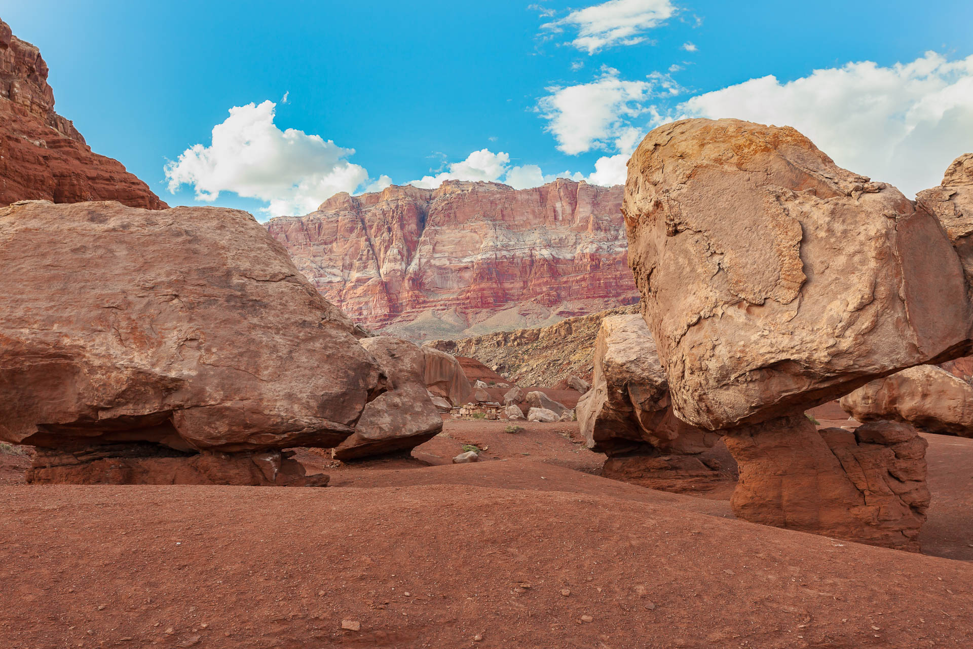 Arizona