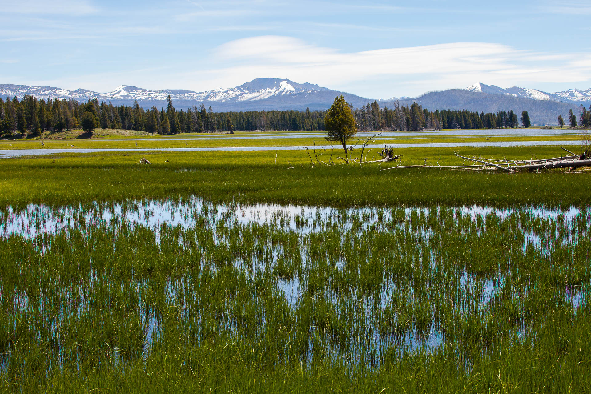 Yellowstone National Park, Wyoming