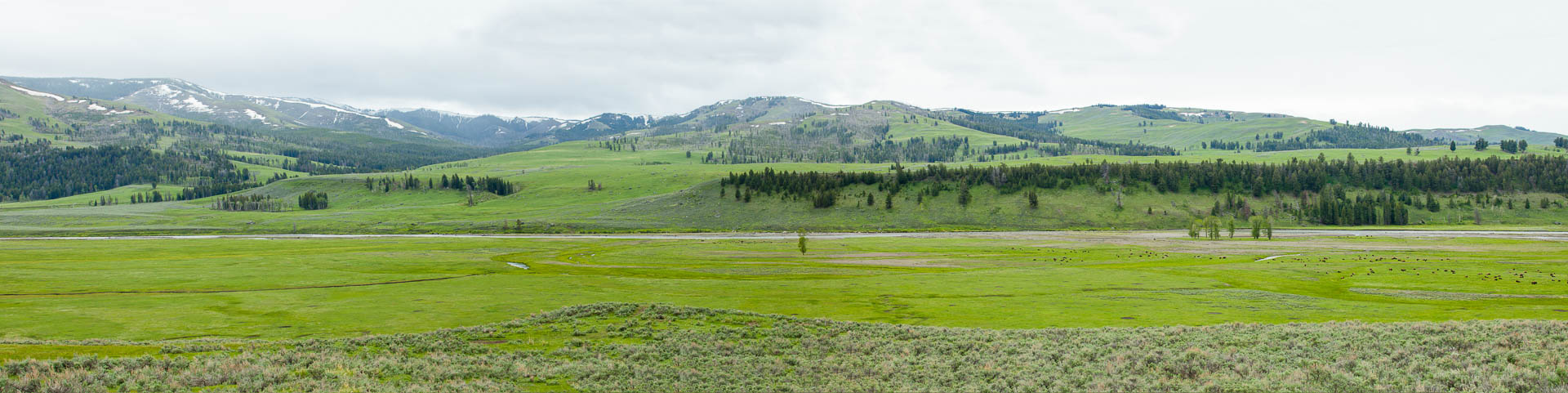 Yellowstone National Park, Wyoming