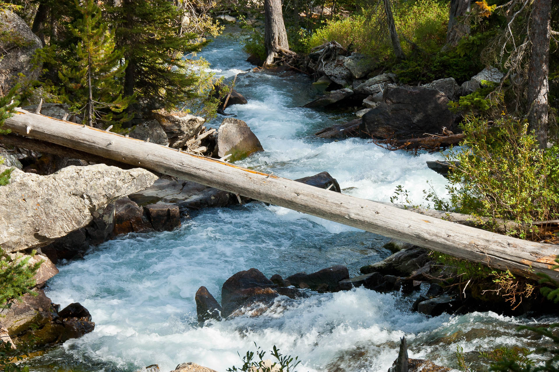 Jackson Hole, Wyoming