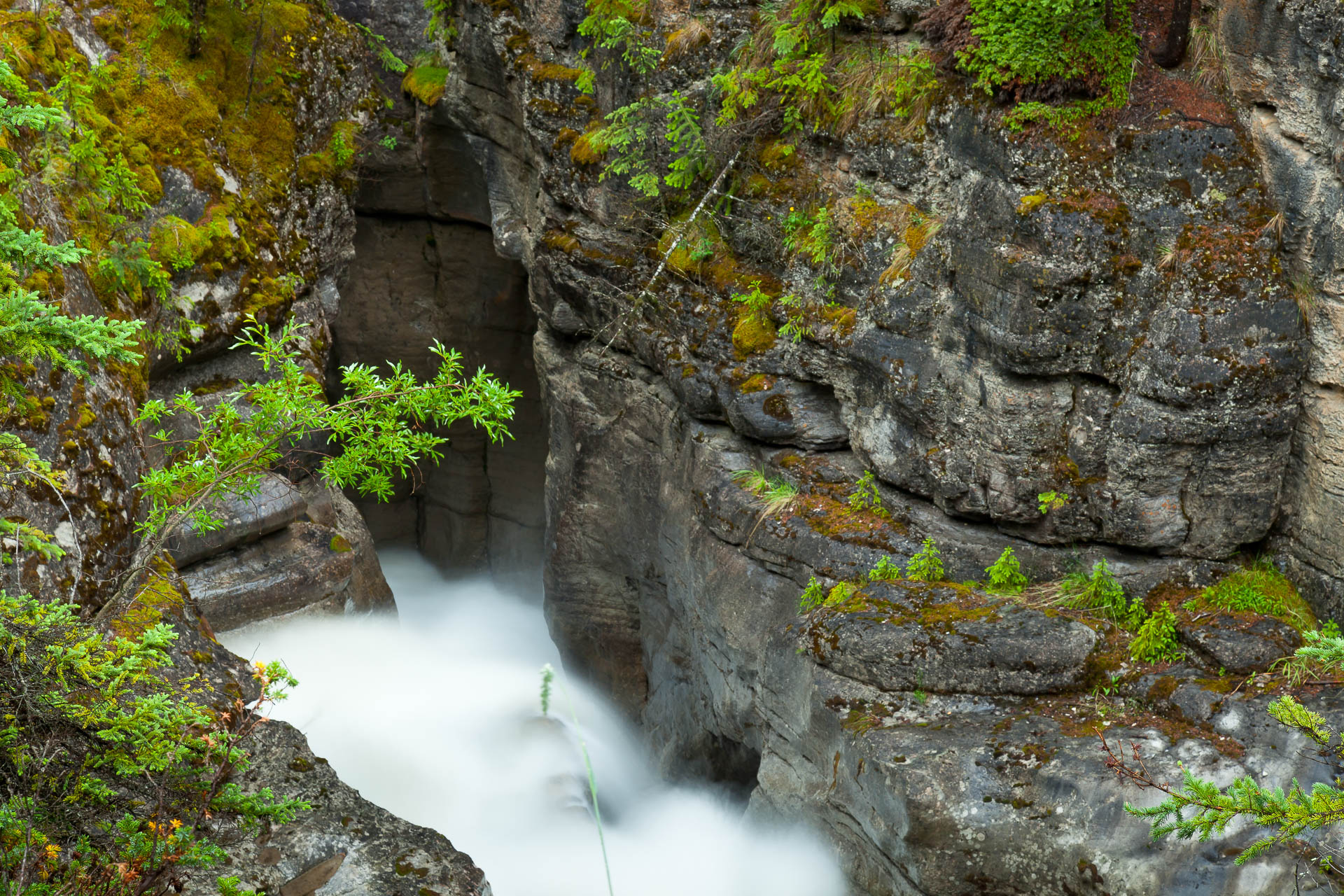 Jasper, Alberta, Canada