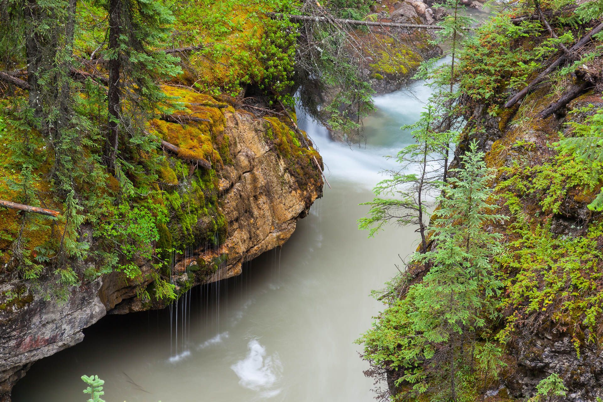 Jasper, Alberta, Canada