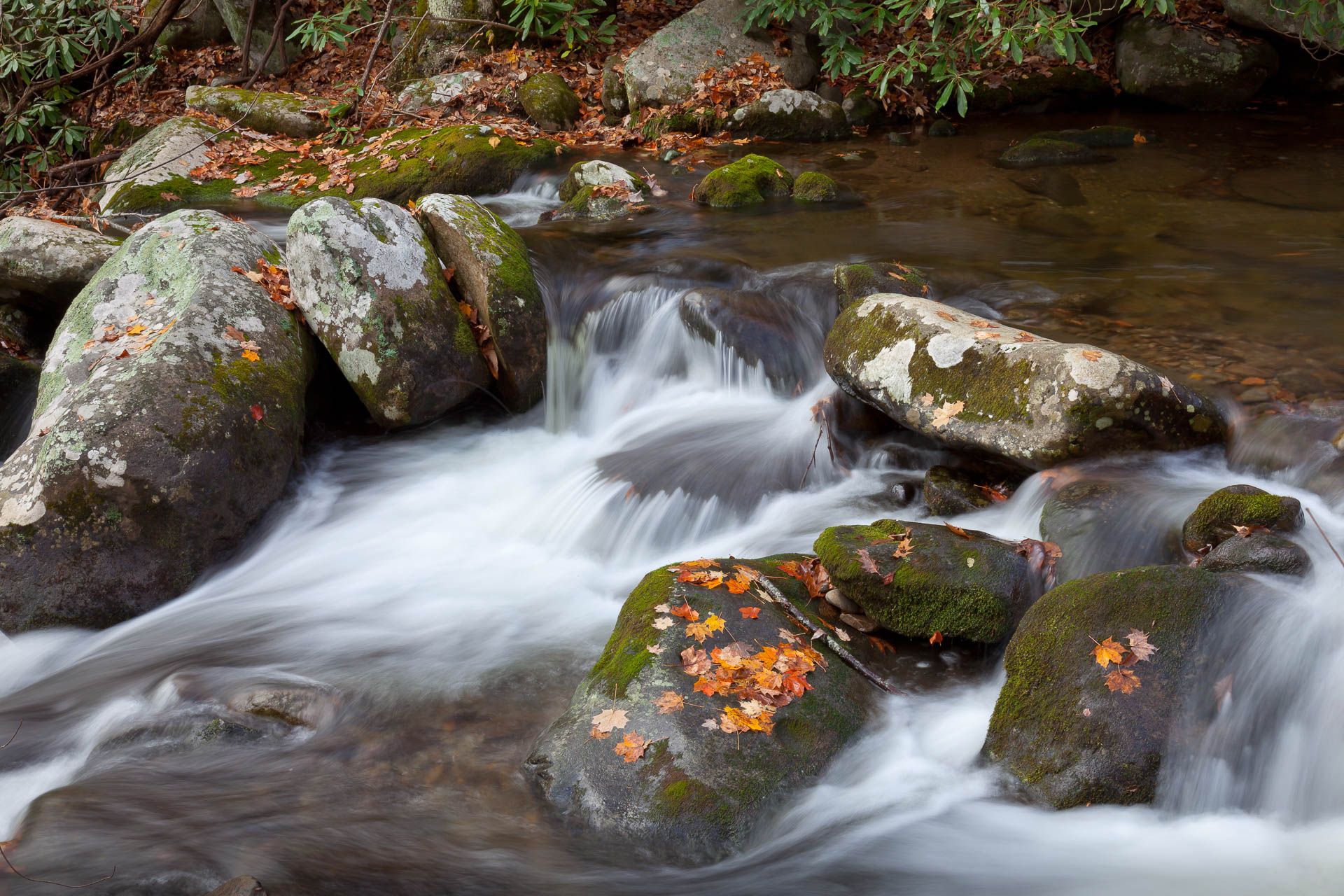 Roaring Mountain, Tennessee