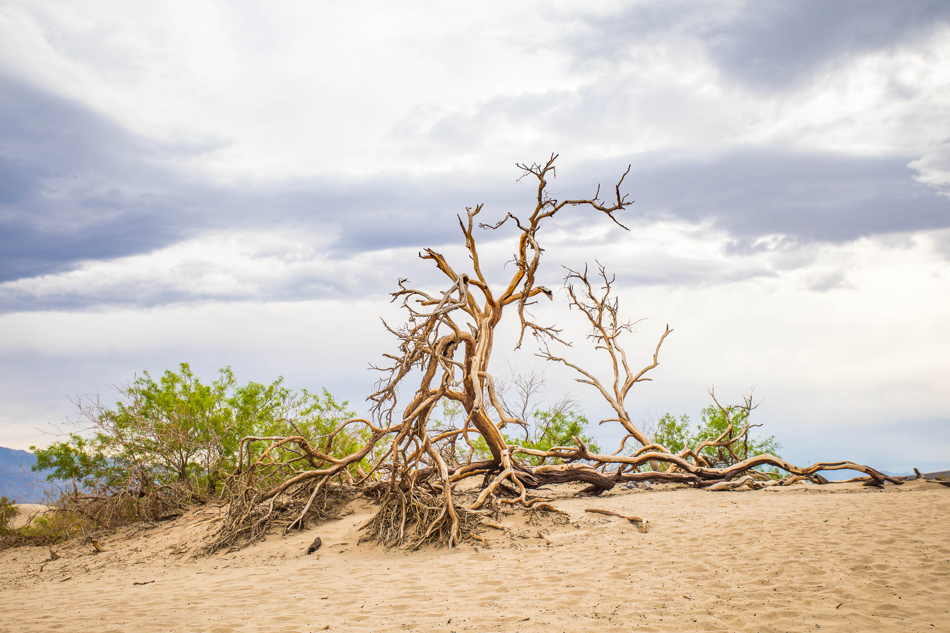 Death Valley, California