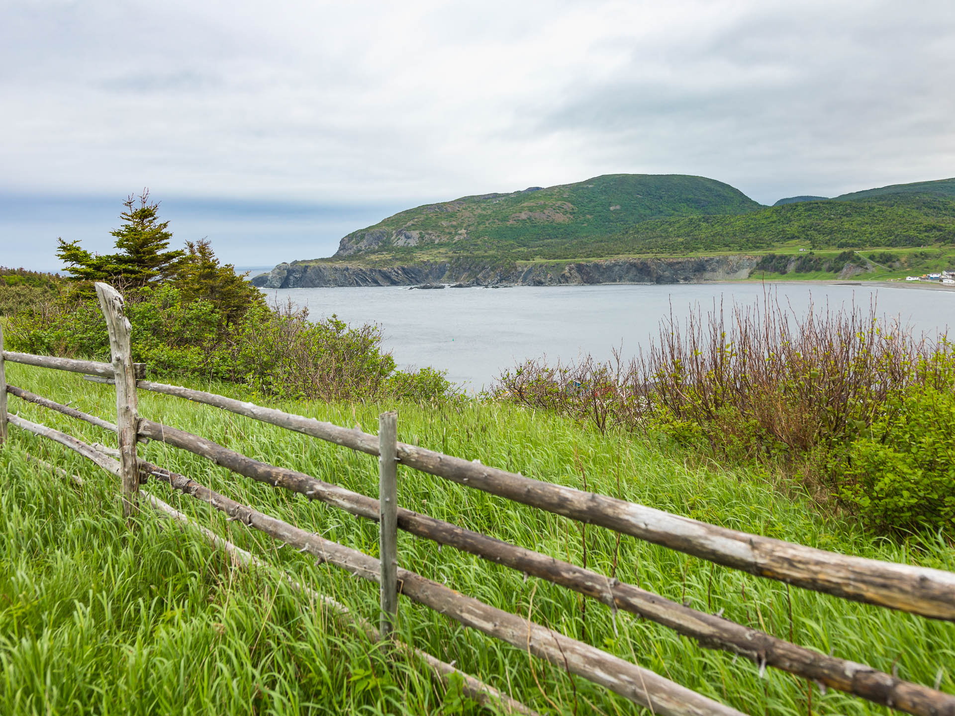 Newfoundland