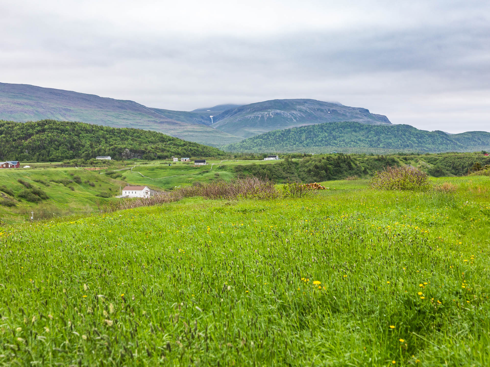 Newfoundland, Canada