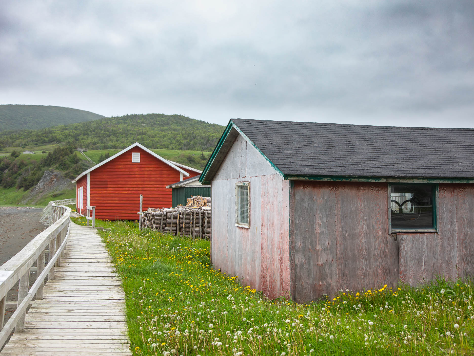 Newfoundland