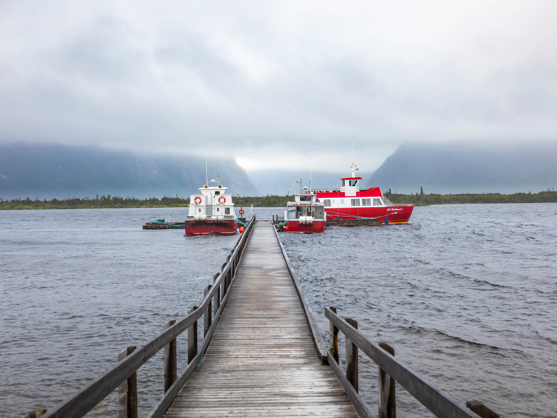 Newfoundland