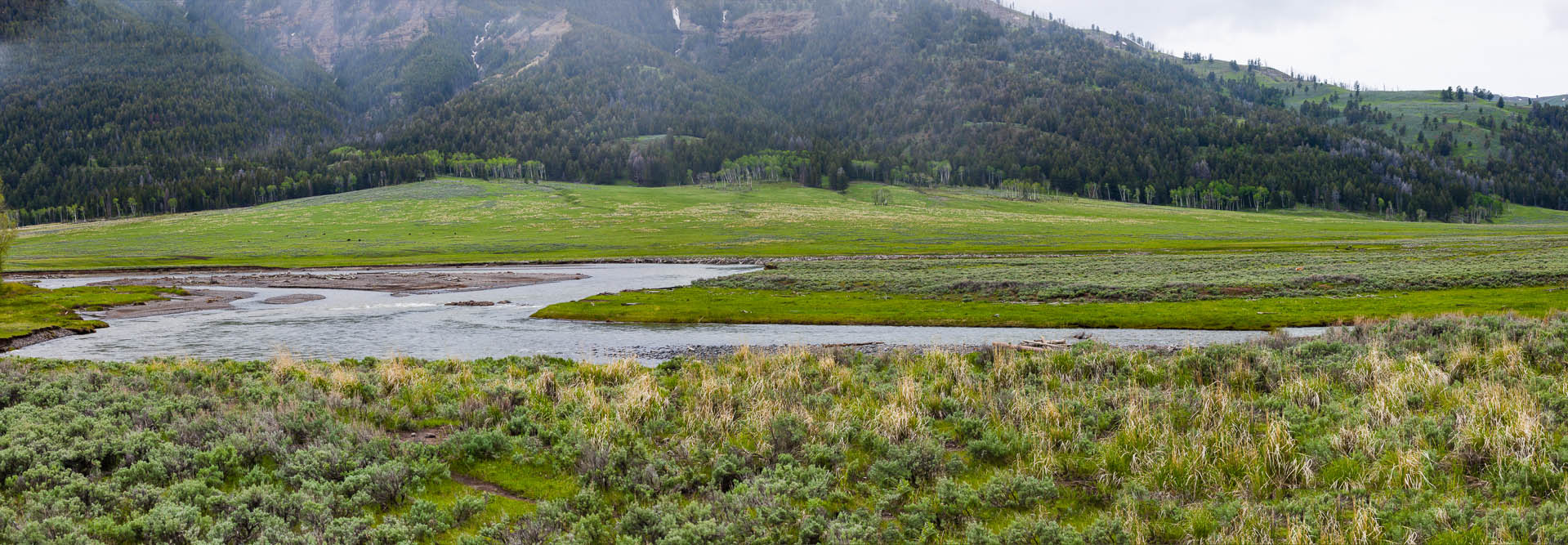 Yellowstone National Park, Wyoming