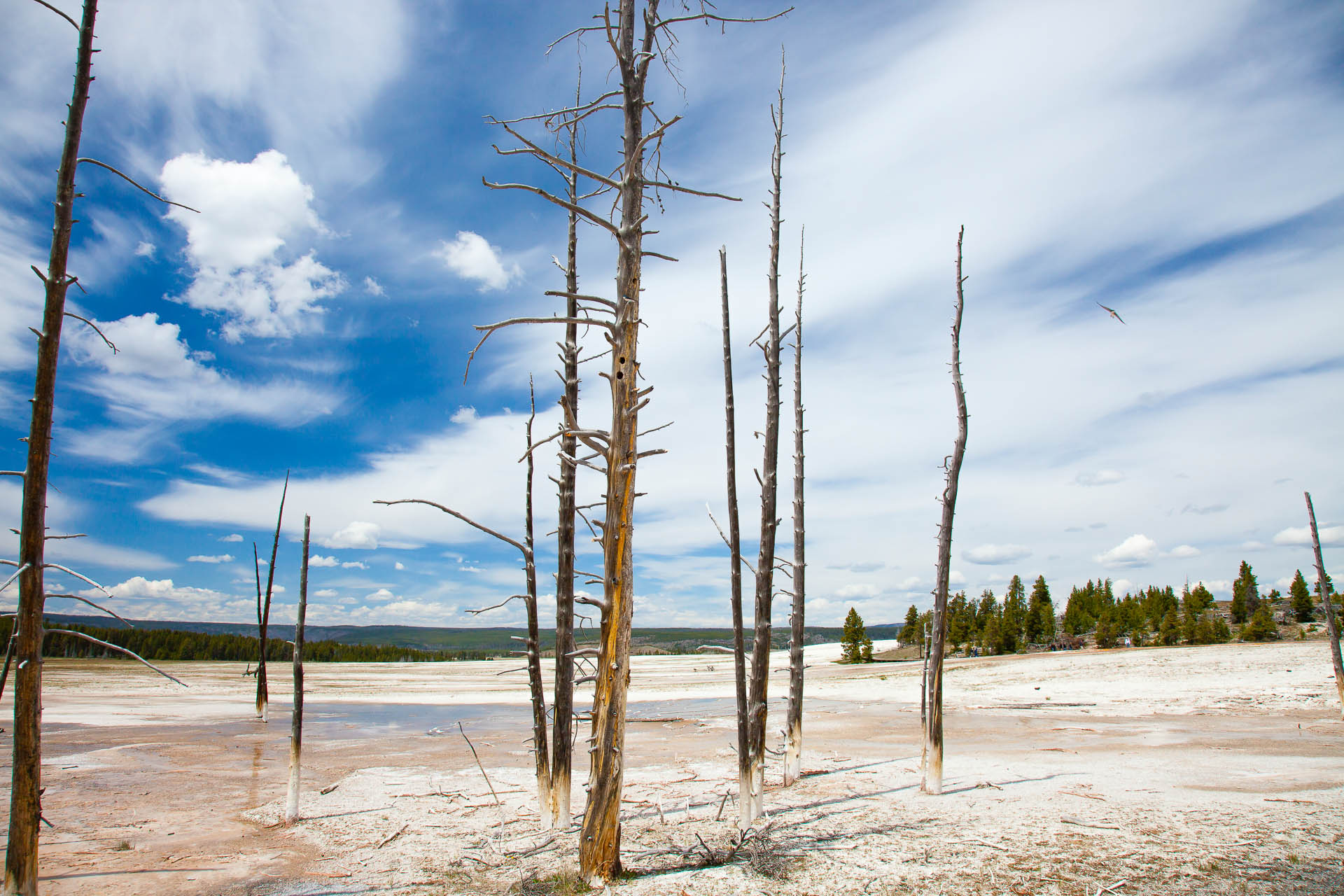 Yellowstone National Park, Wyoming